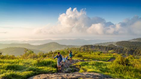 前往皮斯加国家森林的 Black Balsam Knob 山徒步旅行