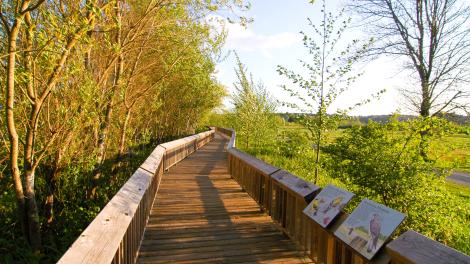 游客可以沿着木板道穿越尼斯夸利国家野生动物保护区