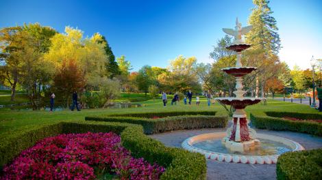 Congress Park’s vibrant blooms