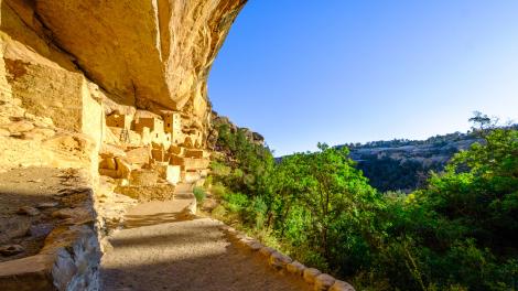 探索绝壁宫殿（Cliff Palace）这个拥有 150 间房间且规模最大的悬崖住所