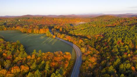 马尔伯勒：掩映于绚烂秋色下的蜿蜒公路