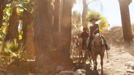 Ausritt durch die malerischen Indian Canyons entlang fließender Wildbäche und einheimischer Palmen