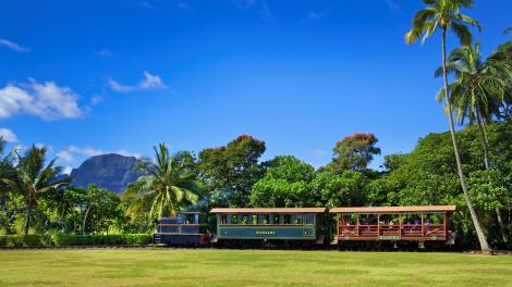 在奇亚胡纳种植园 (Kilohana Plantation) 乘坐可爱岛种植园铁路 (Kauaʻi Plantation Railway)
