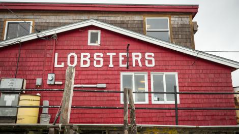 缅因州的龙虾美食 缅因州的龙虾美食
