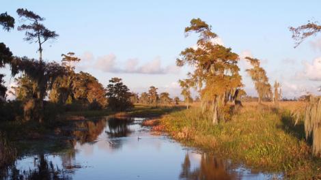 See Louisiana Through the Eyes of Musician Tab Benoit