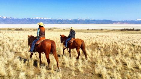 Reiten auf Antelope Island, Utah