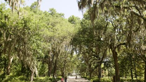 Forsyth Park in Savannah, Georgia