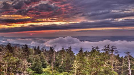 大烟山国家公园中茂密的原始森林