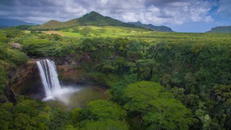 Beautiful waterfall in the forest 