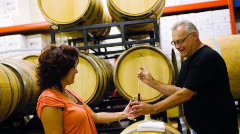 在美国南北分界线沿葡萄酒小径品尝葡萄酒