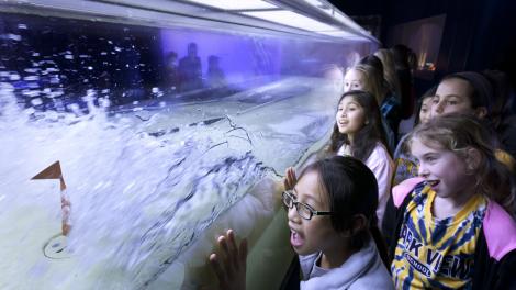 The Tsunami Wave Tank captures the attention of visiting schoolchildren