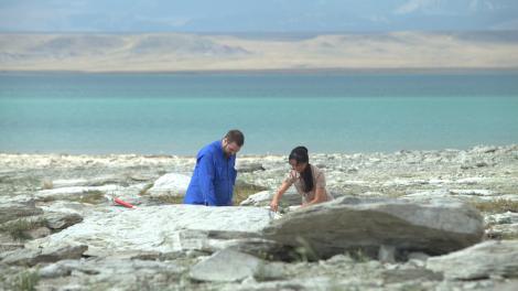 Excavación de un fósil de dinosaurio en el Dinosaur Trail en Montana