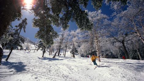 Esquiando en Stowe, Vermont