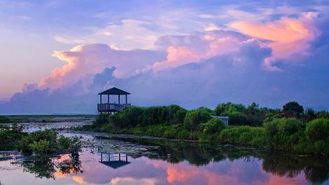 A gorgeous sunset in the Lacassine National Wildlife Refuge