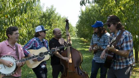 The Wooks 乐队在肯塔基州欧文斯伯勒郊外的农场上演奏