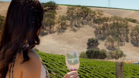 在加利福尼亚州三谷地区一边啜饮葡萄酒一边俯瞰利弗莫尔谷美景 在加利福尼亚州三谷地区一边啜饮葡萄酒一边俯瞰利弗莫尔谷美景