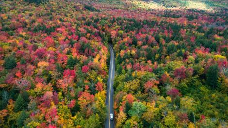 俯瞰新罕布什尔州白山的秋日美景