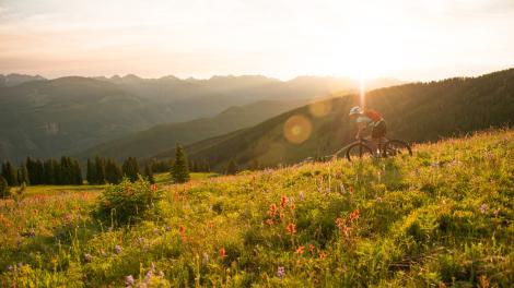 在野花烂漫的山间小径骑行