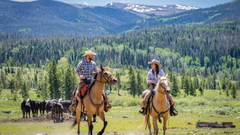 Horseback riding amid mountain scenery on a Colorado dude ranch