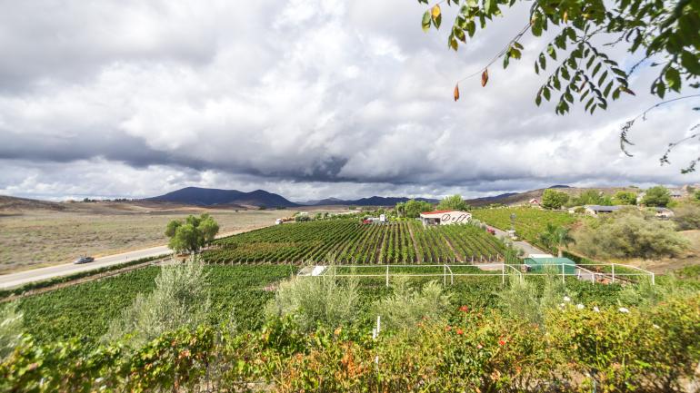 Temecula California  Wine Tours