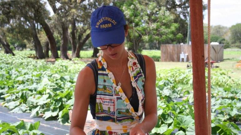 지역 농장은 각종 축제와 과일 따기로 미식 모험가들을 유혹합니다.