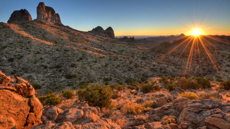 Joshua Tree, California