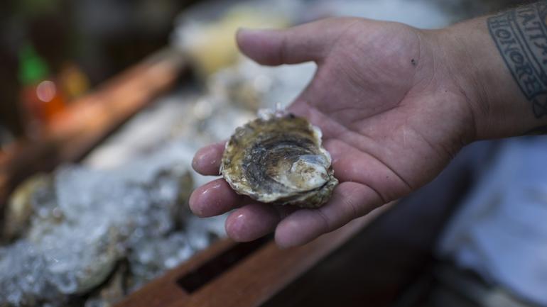 Oysters are delicacies in Massachusetts, and many restaurants feature them on the half-shell. 