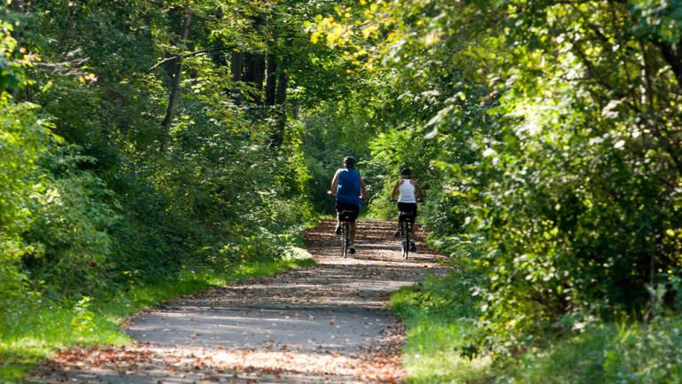 沿阿勒格尼河谷小径骑车穿越茂密的森林