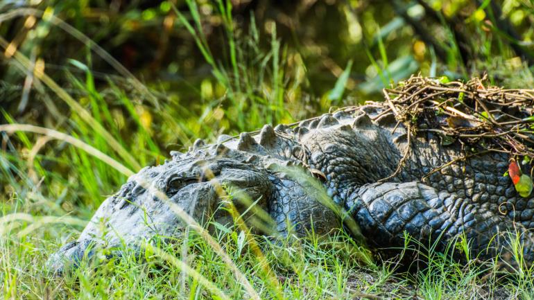 Huntington Beach State Park in Myrtle Beach, South Carolina
