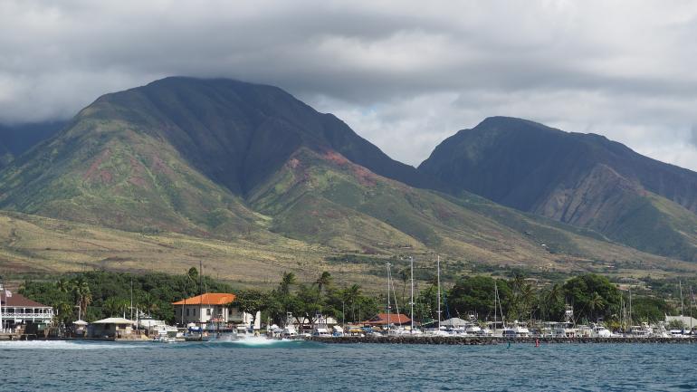 라하이나 항구에서 정박해 선을 바라보는 선박들