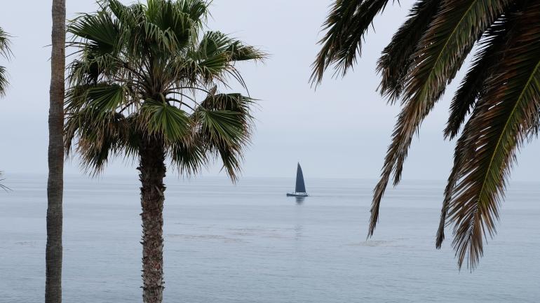 A sailboat cruises along the California coast.