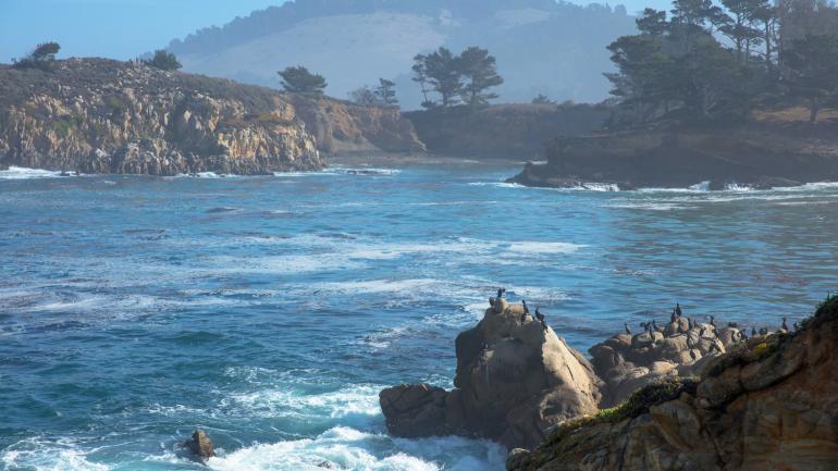 罗伯斯角州立自然保护区的草甸、崎岖海岸线和水下栖息地