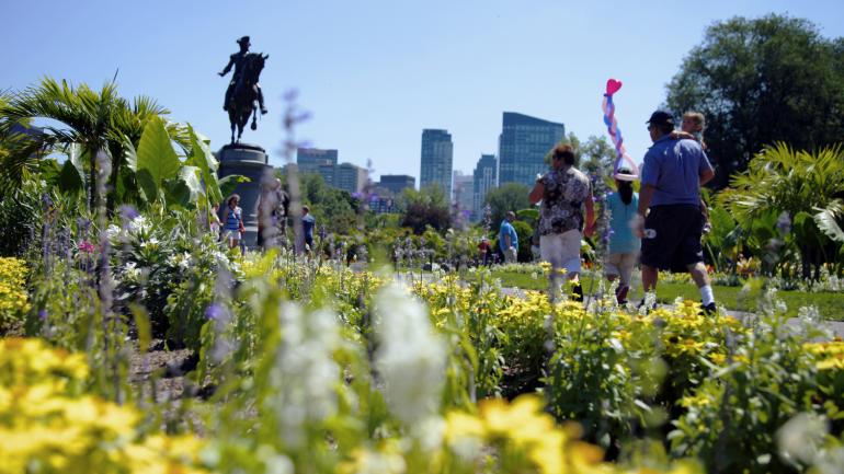 徒步游览波士顿公共花园