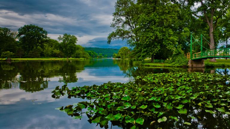 斯图尔特公园里平静的水景