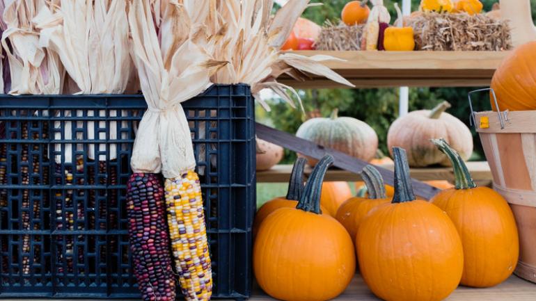 密西根州的季节性美食