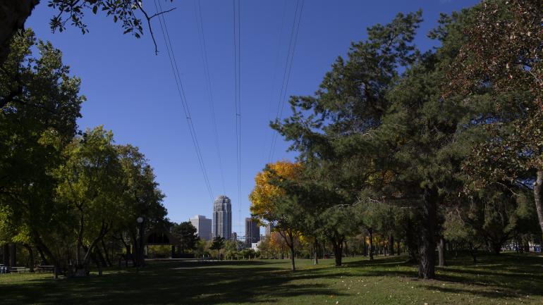 从明尼阿波利斯公园内欣赏到的清晨风光