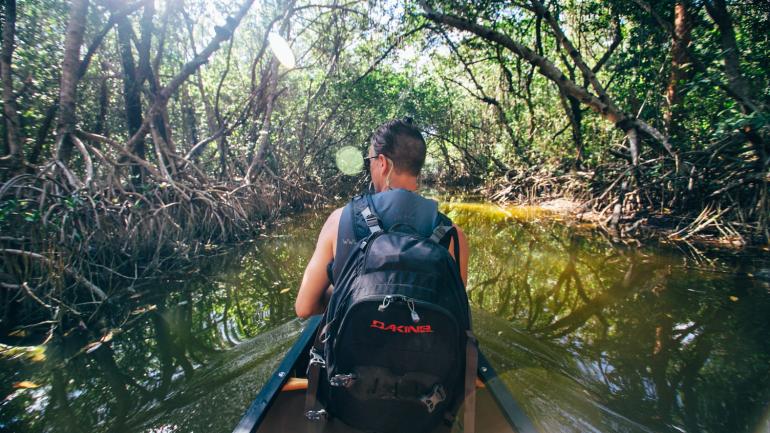 Canoeing the 9 Mile Pond Trail in Everglades National Park