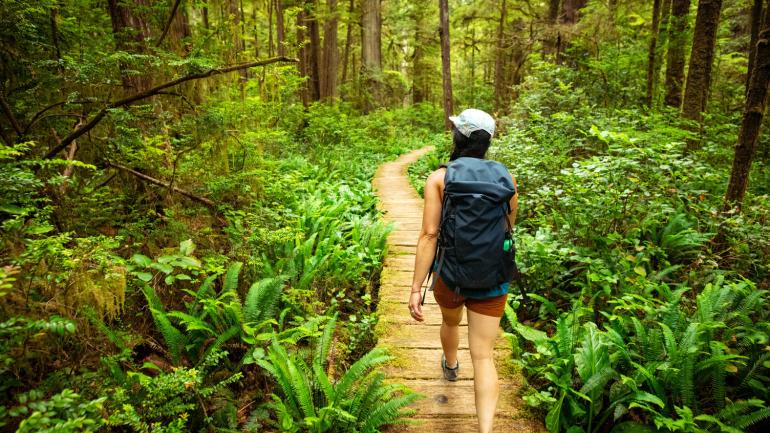 Exploring the Ozette Triangle Coastal Trailhead in Olympic National Park