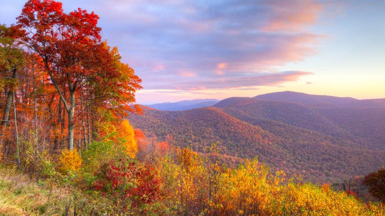 The spectacular colors of autumn in Shenandoah National Park