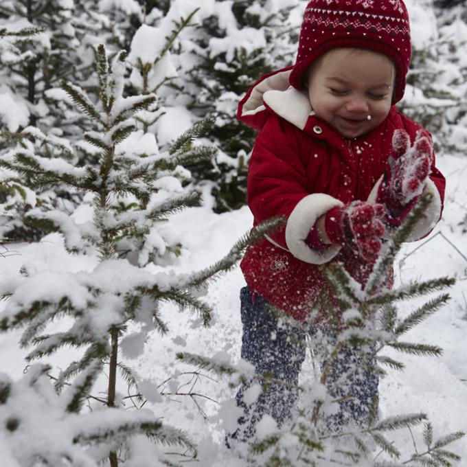 带上您的靴子:雪城的降雪量要高于美国其他任何一个城市 带上您的靴子:雪城的降雪量要高于美国其他任何一个城市