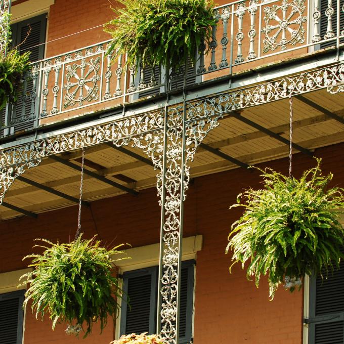 法国区的垂吊植物和经典细节