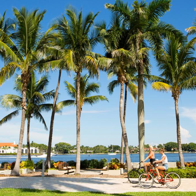 棕榈滩海滨郁郁葱葱的棕榈树