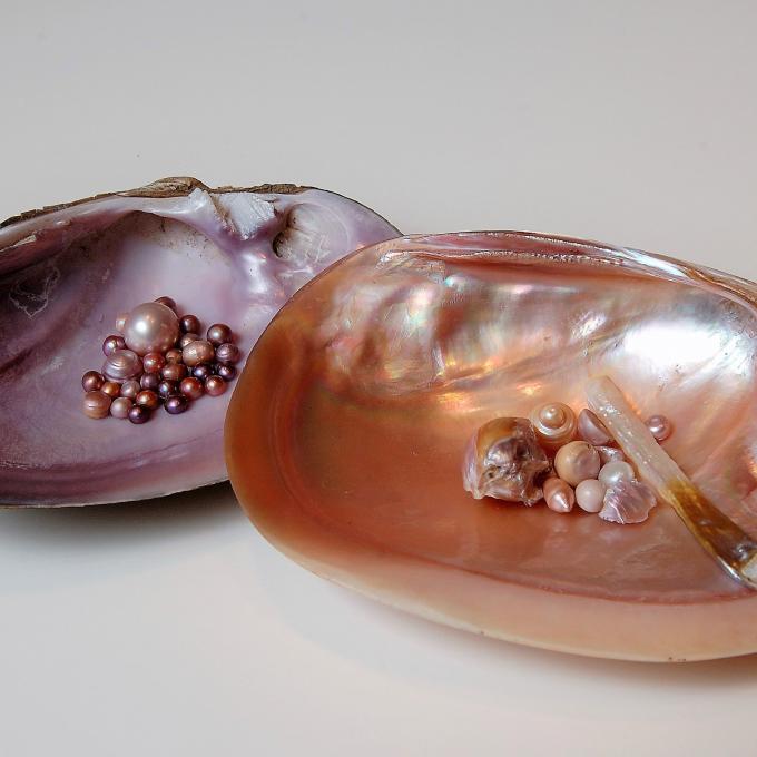 来自德克萨斯州圣安吉洛的康乔珍珠