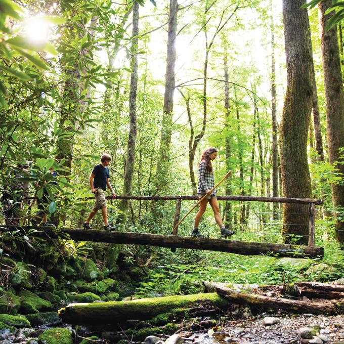 在田纳西州加特林堡 (Gatlinburg) 大烟山国家公园徒步旅行