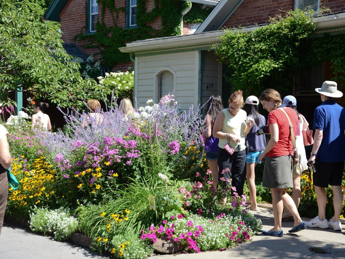 七月的花园漫步