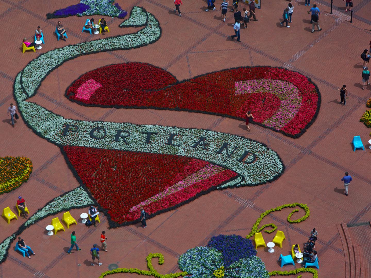 波特兰玫瑰节上用玫瑰花制作的设计作品