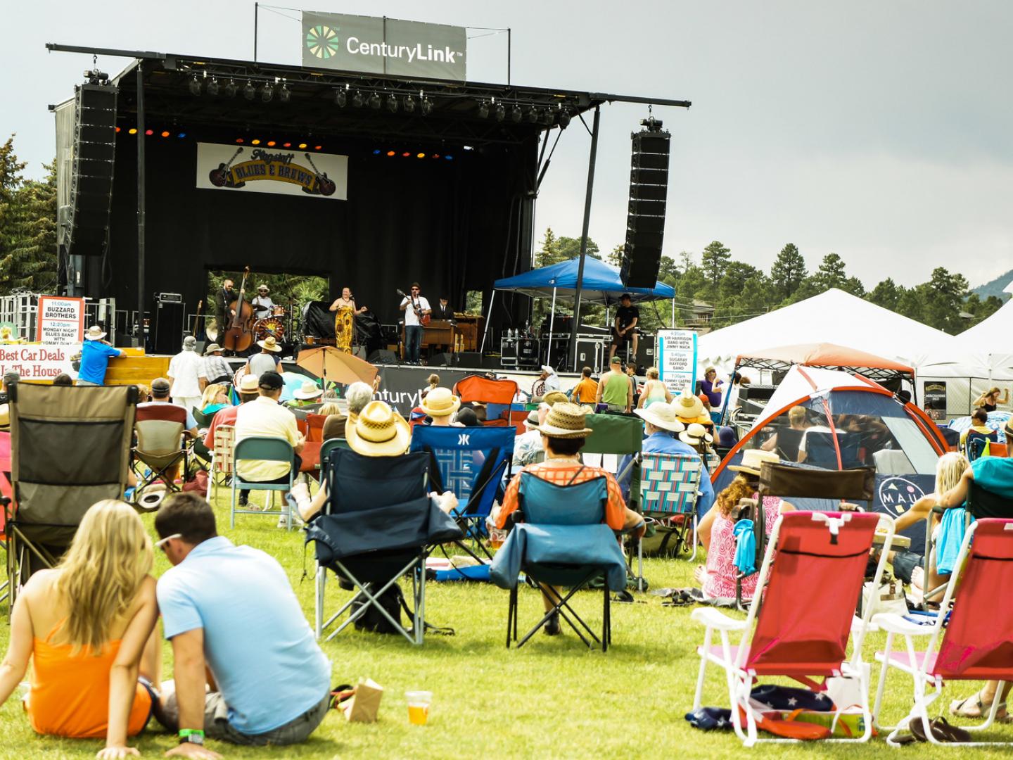 在蓝调音乐与啤酒节期间欣赏优美的旋律