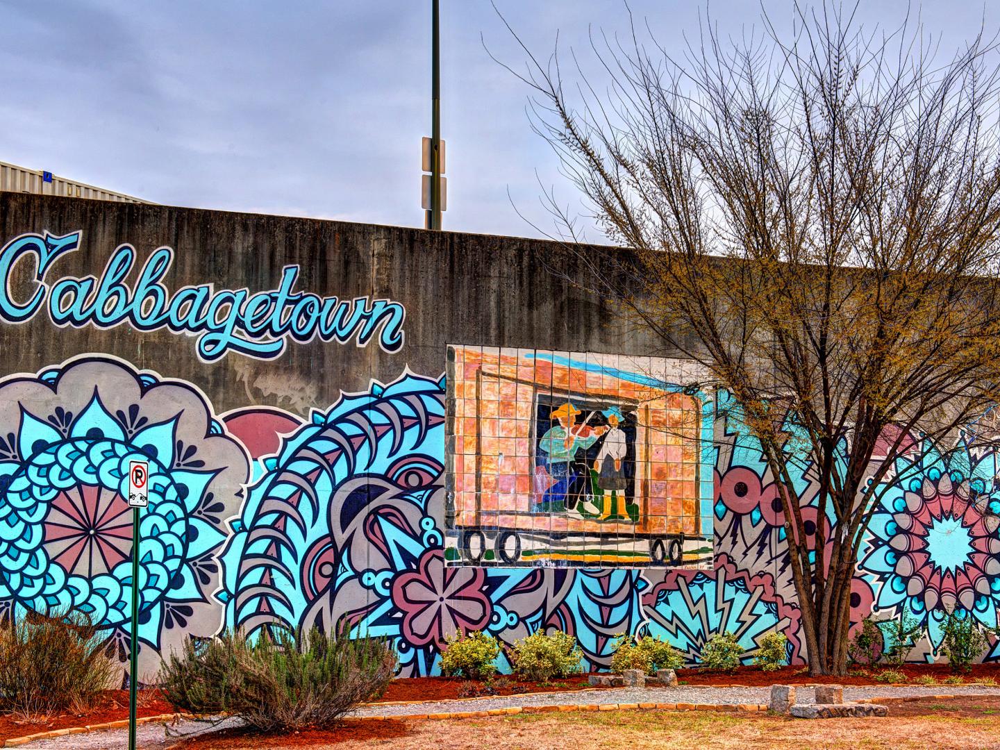 佐治亚州亚特兰大椰菜镇社区的一幅壁画