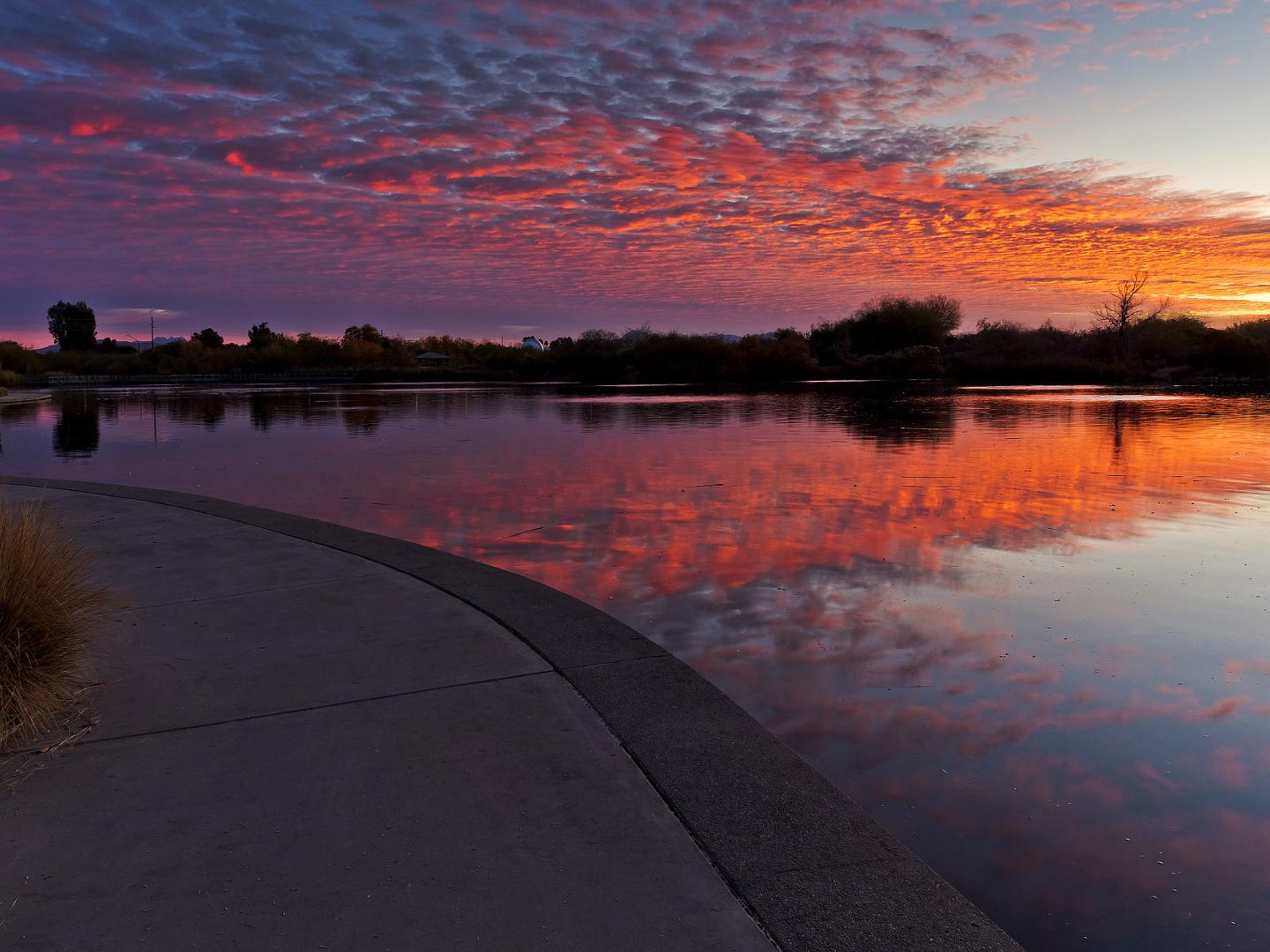 Pôr do sol sobre a Riparian Preserve at Water Ranch em Gilbert, Arizona