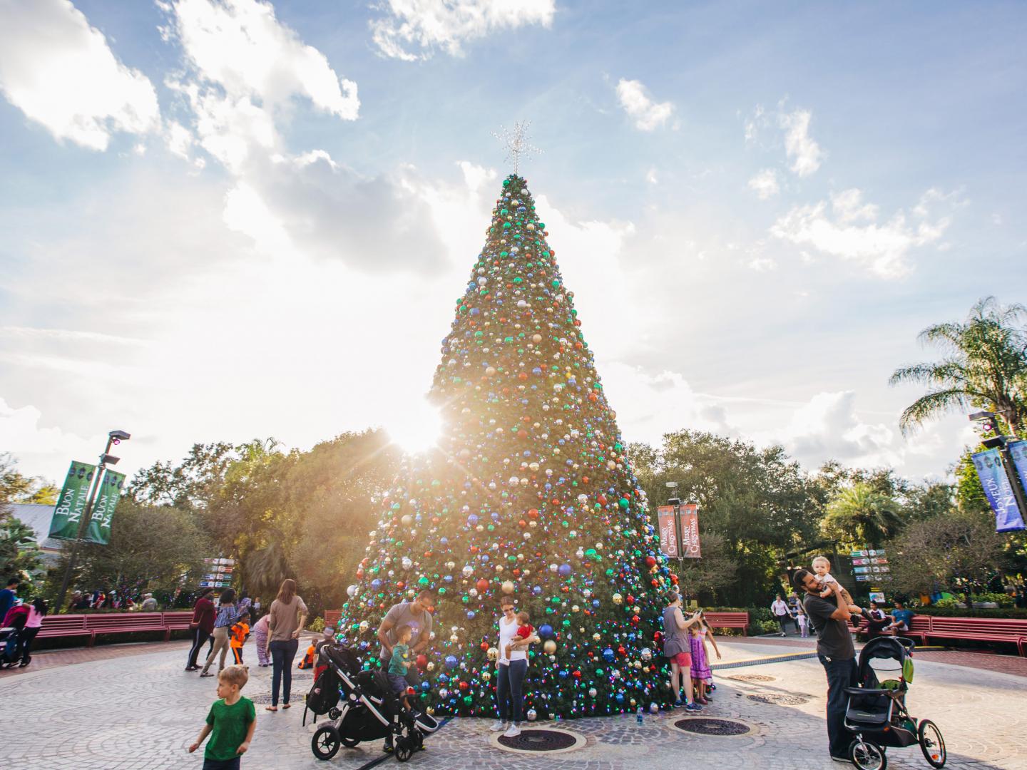 坦帕罗瑞公园动物园 (ZooTampa at Lowry Park) 野外圣诞节的节日装饰品